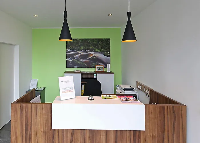 מלון Business & לינץ